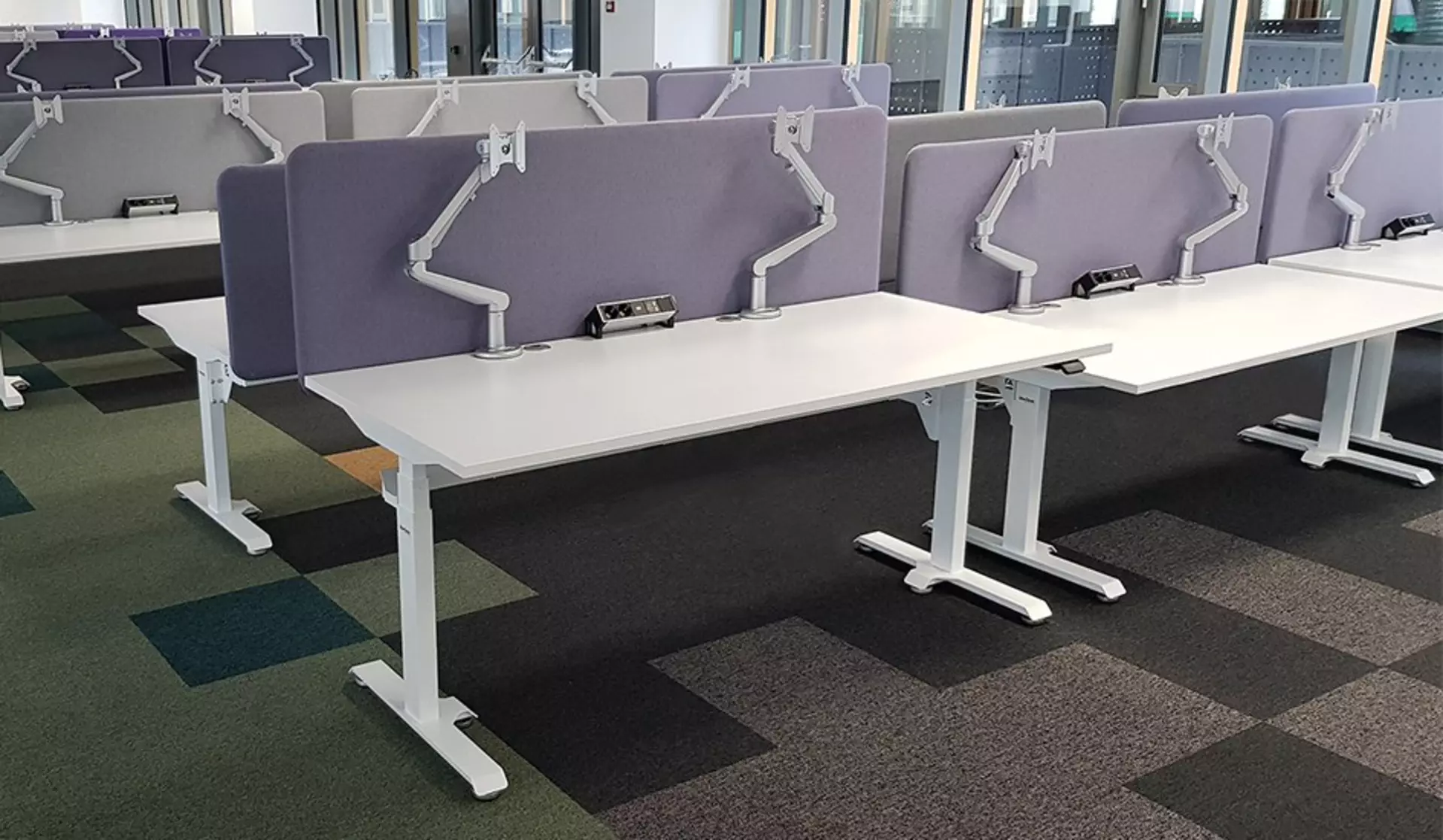 A wide range of sit-stand desks with privacy walls in an open office