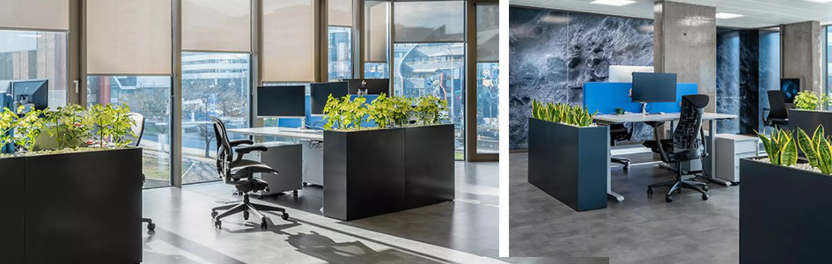 BULDESK standing desks installed in a modern office.