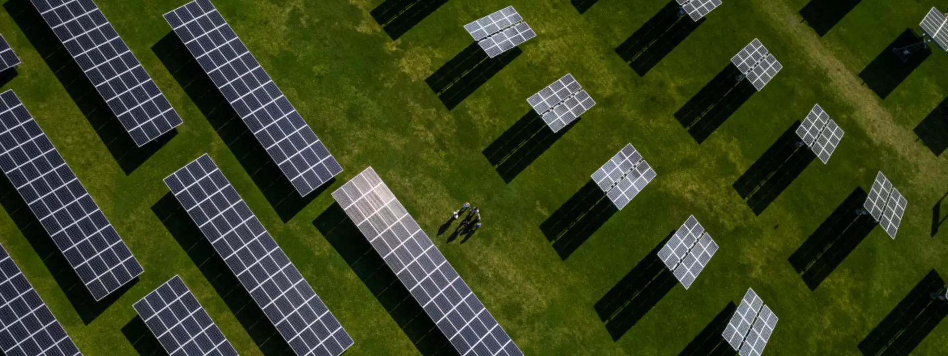 LINAK employees standing in the LINAK solar park surrounded by solar panels.