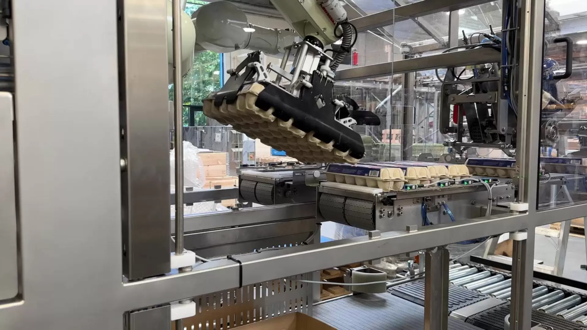 SANOVO egg packaging machine