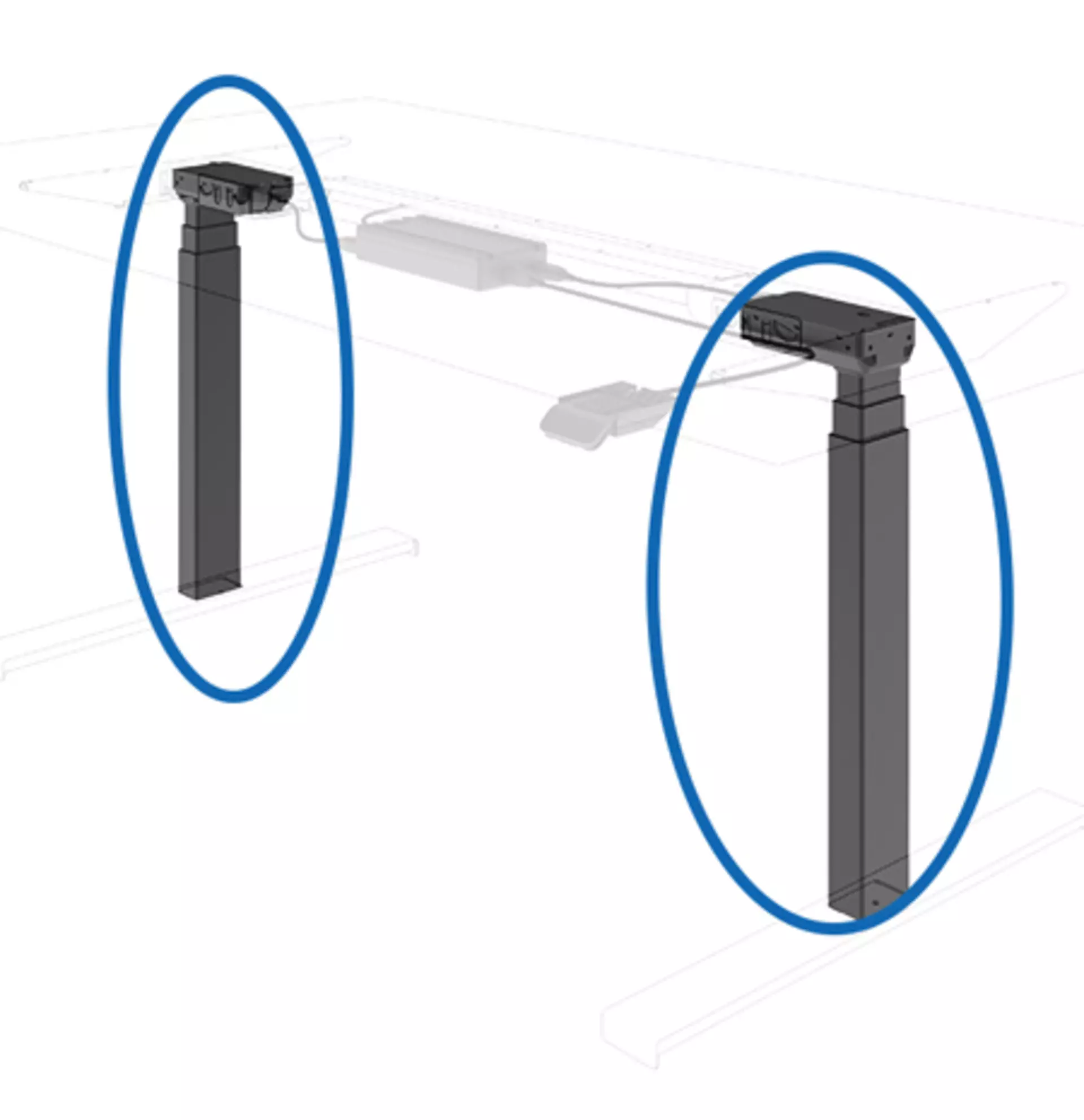 DL6, DL19 and DL11.