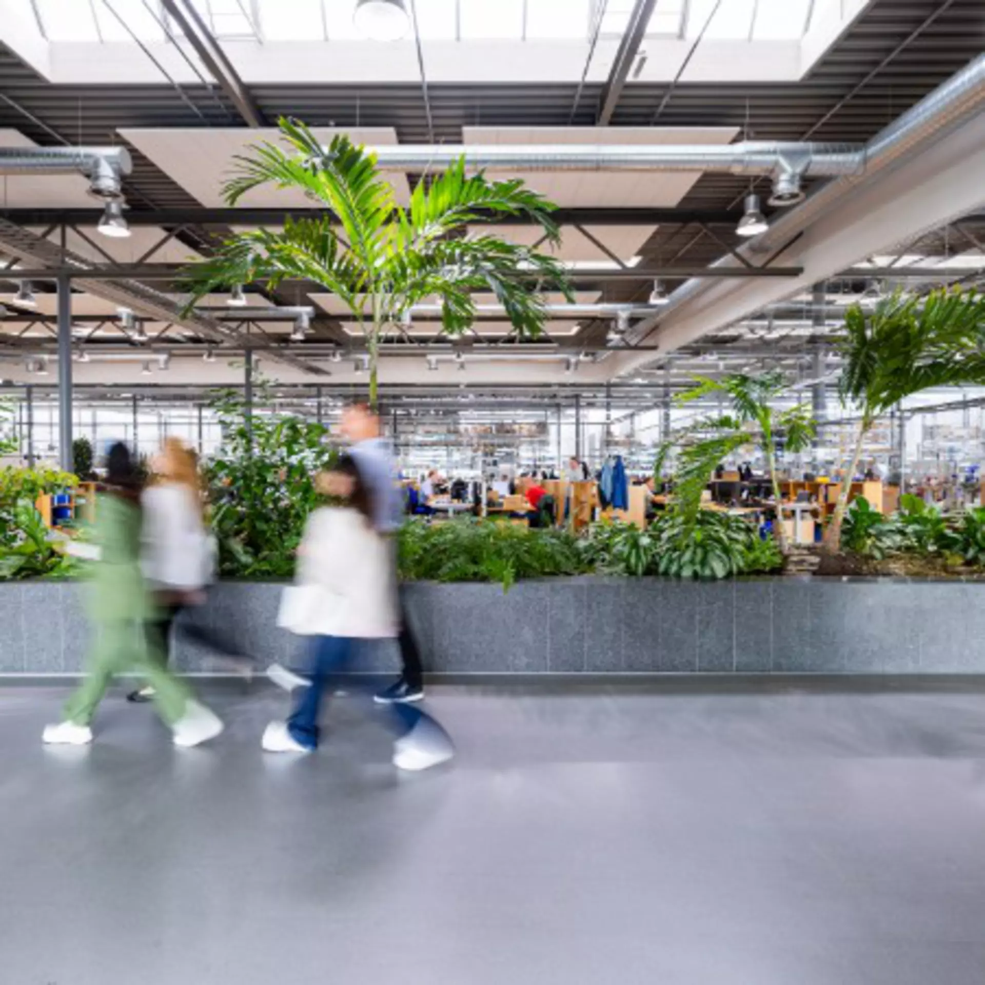 LINAK employees walking indoors, surrounded by green plants, office environment in background.